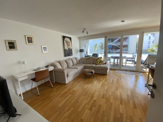 Hard-Seenähe: Tolle 2-Zimmerwohnung mit großzügiger Sonnenterrasse