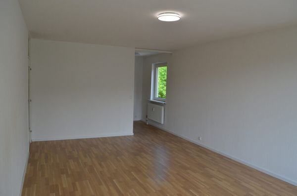 Geräumige 1-Zimmerwohnung im Wellenau zu vermieten (nach Absprache)