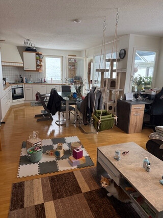 Helle geräumige 3-Zimmerwohnung ab Mai zu vermieten